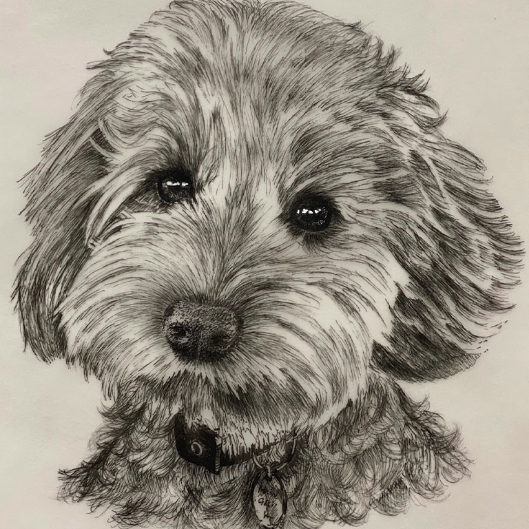 Fine Line Drawing – Small Dog 2